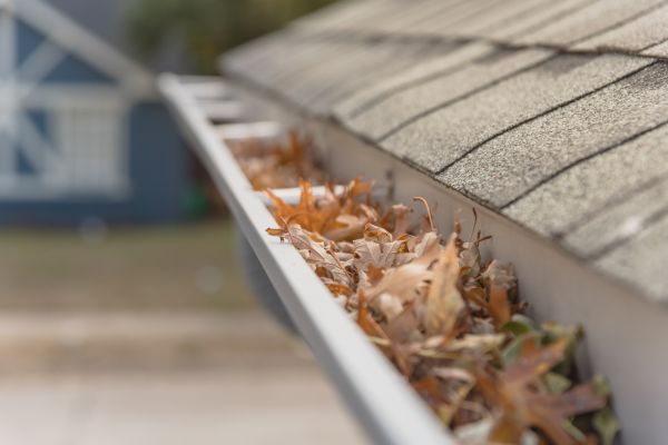 Leaf Barrier Installation in Granville